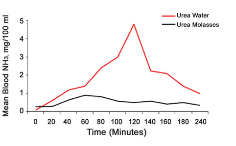 tmr_graph